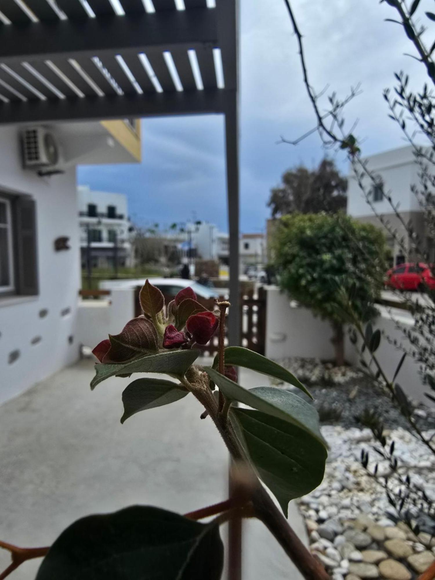 Вілла The Garden House Tinos Екстер'єр фото